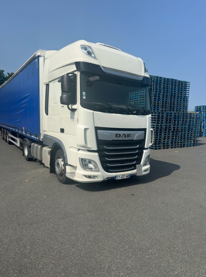 DAF  XF530  11/2018